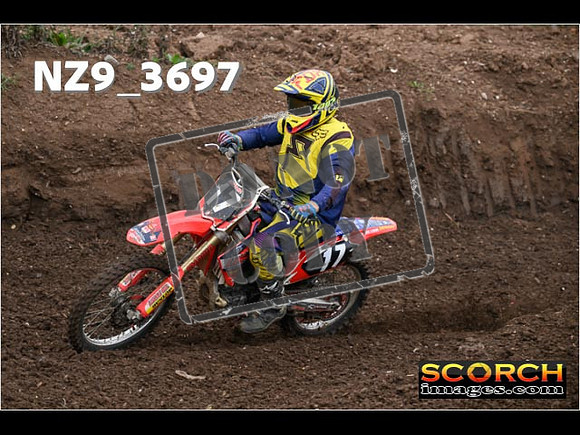 IntersGreenOrange-062