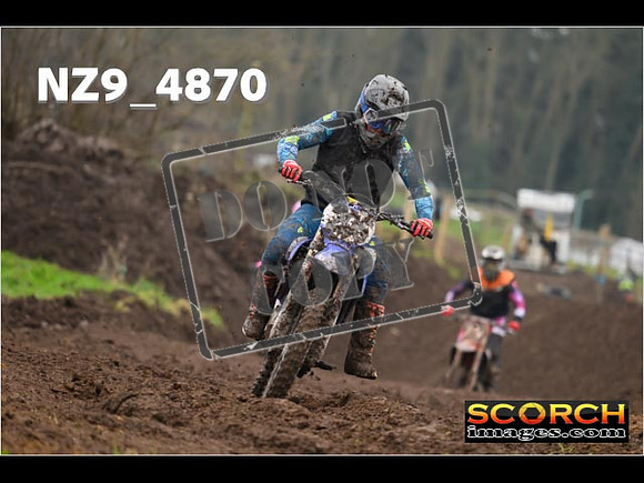 Experts-345