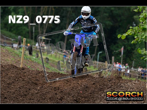 Experts-043