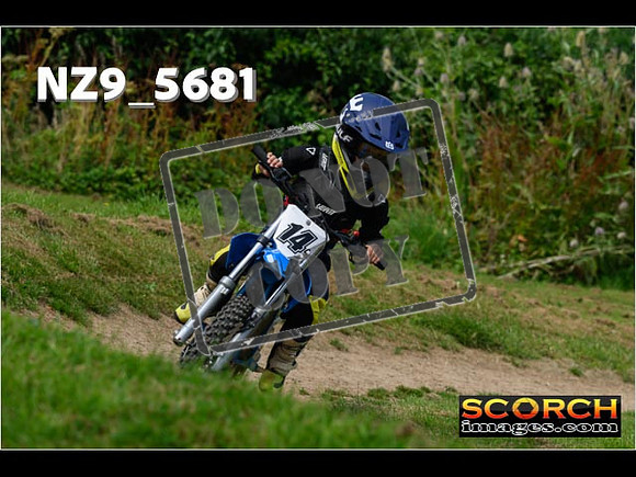 PeeWee Track-062