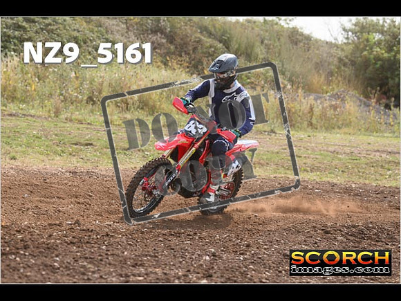 Inters Green-037