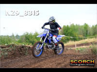 Experts-010