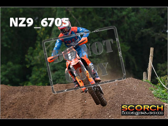 Experts-013