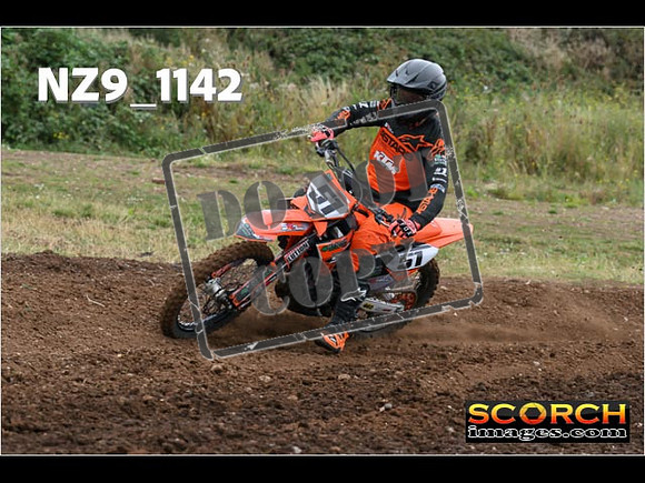 Experts-090
