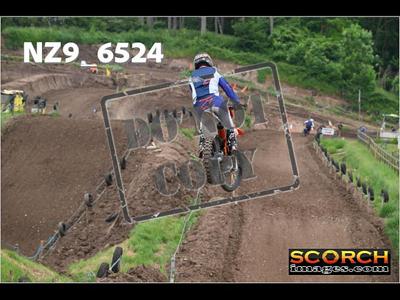 Experts-331