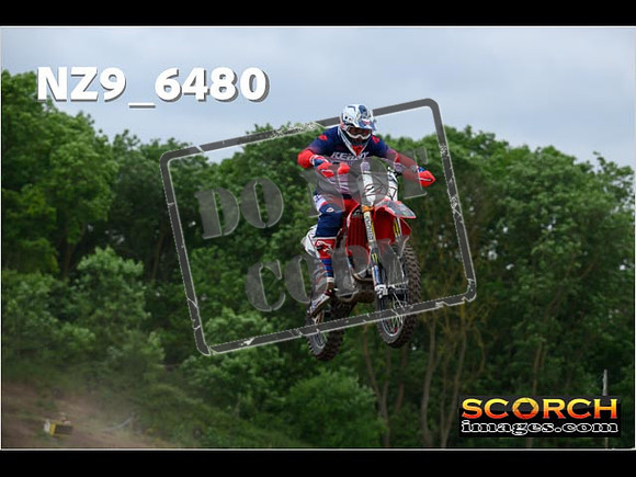 Experts-288