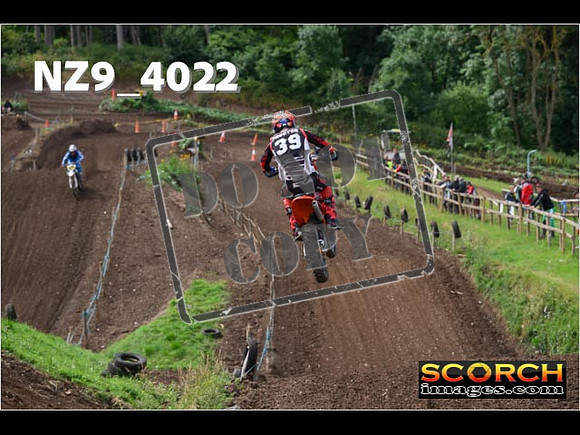 Experts-129