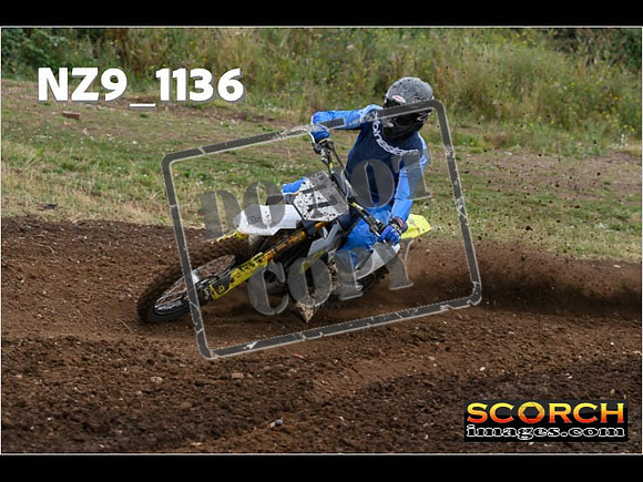 Experts-086
