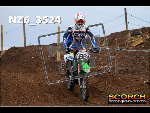 IntersGreen-043