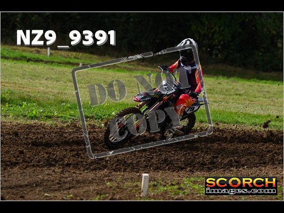 Experts-059