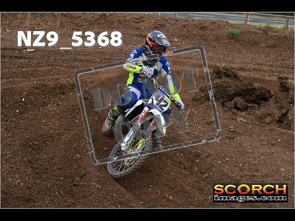 Experts-144