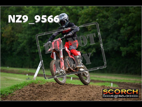 85'S-031