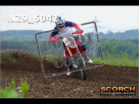 Experts-149