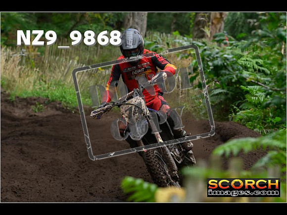 MX1-407