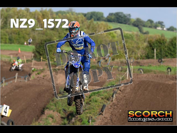 Experts-255