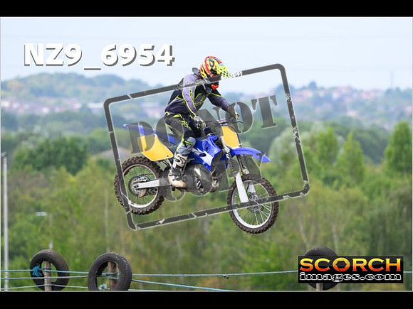 Experts-061