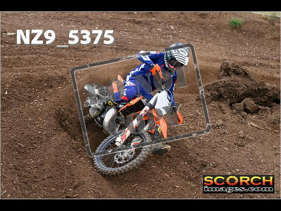 Experts-151