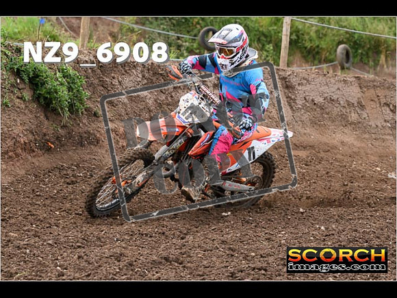 Experts-037