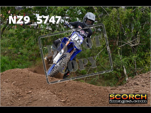 Experts-217