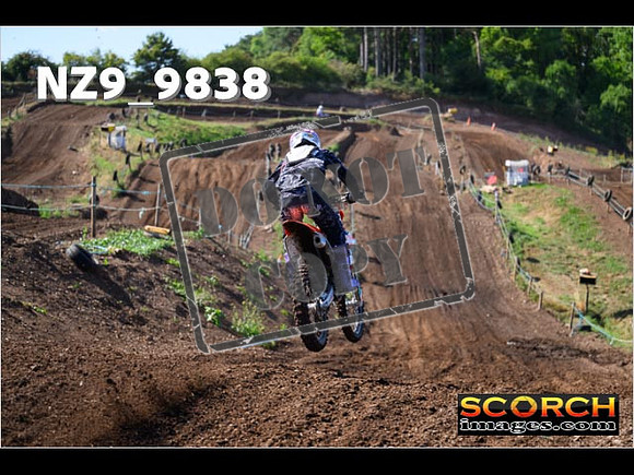 Experts-050
