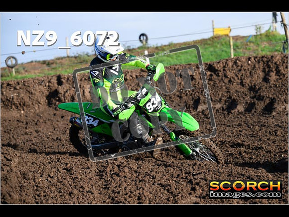 Experts-115