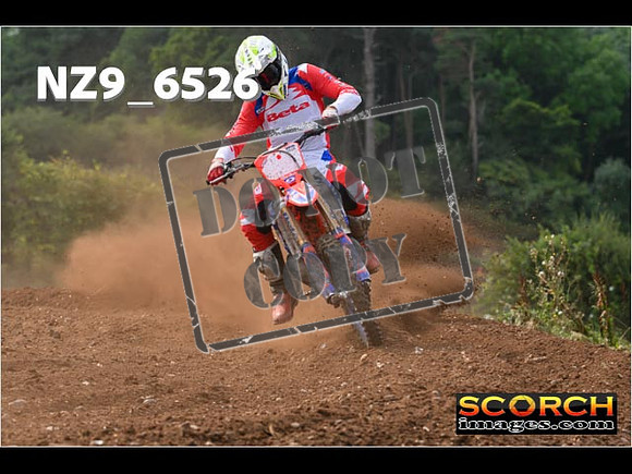 Experts-235