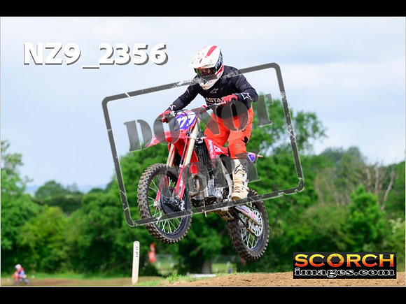 Novice-203