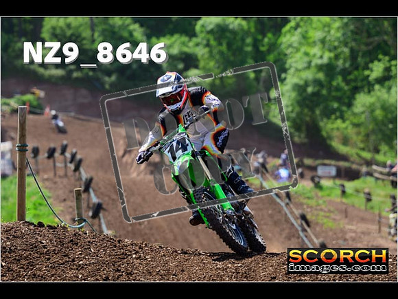 IntersGreenOrange-312