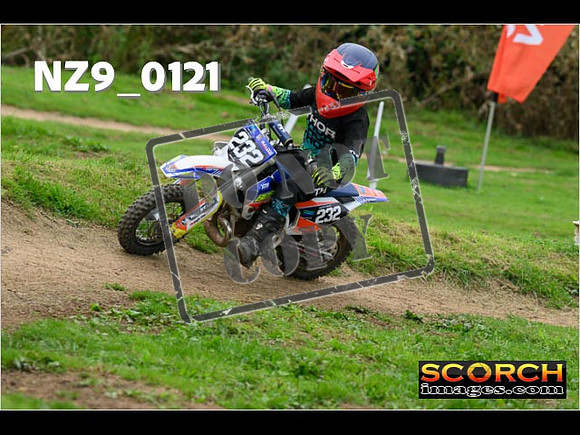 PeeWee Track-41
