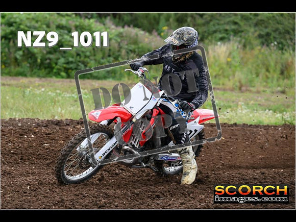 IntersGreen-028