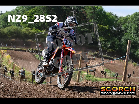 Experts-149