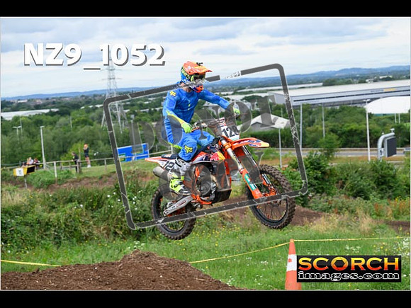 IntersGreen-067