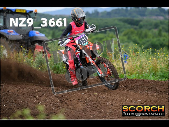 Experts-069