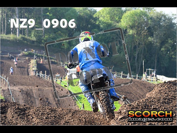 Experts-116