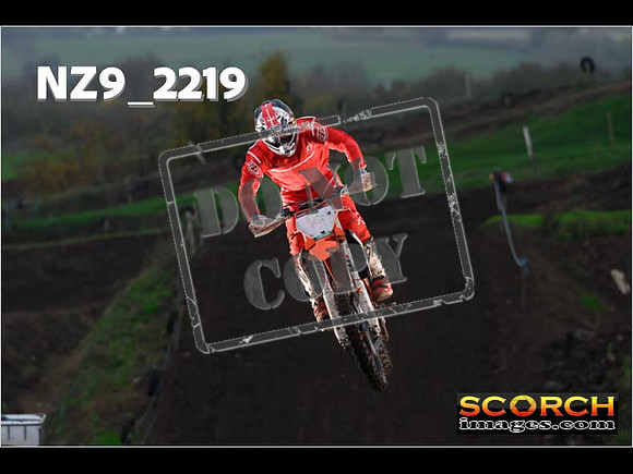 Experts-219