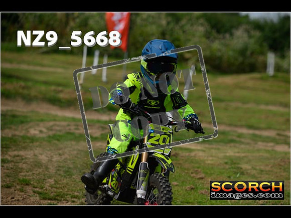 PeeWee Track-049