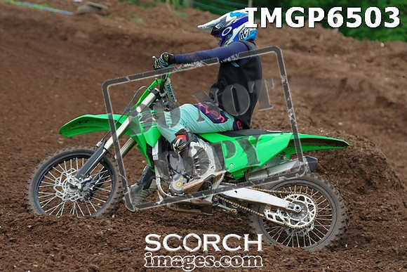 IMGP6503