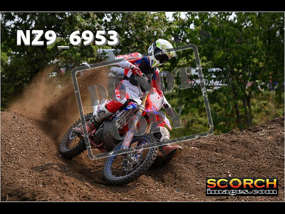 Experts-351