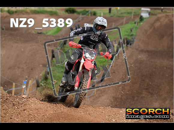 Experts-165