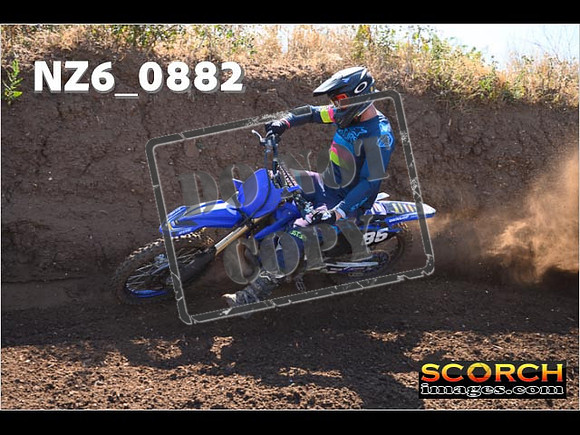 Experts-042