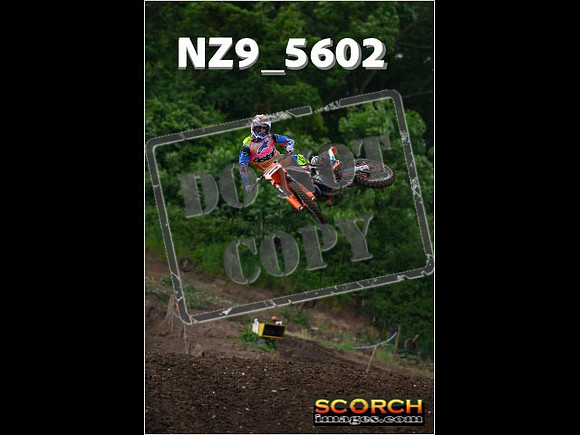 Experts-040
