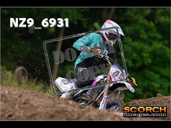 Experts-058