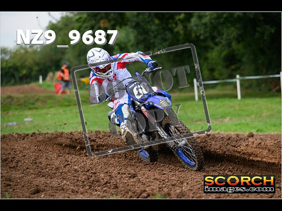 Experts-119