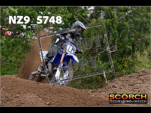 Experts-218