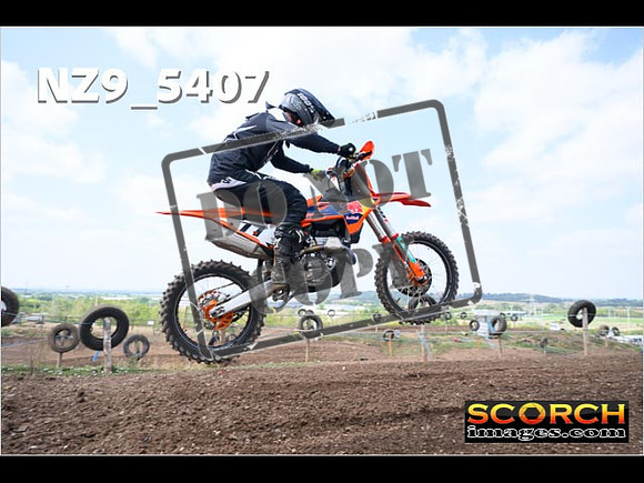 InterGreenOrange-259
