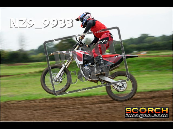 Experts-151
