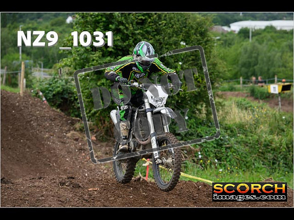 IntersGreen-046