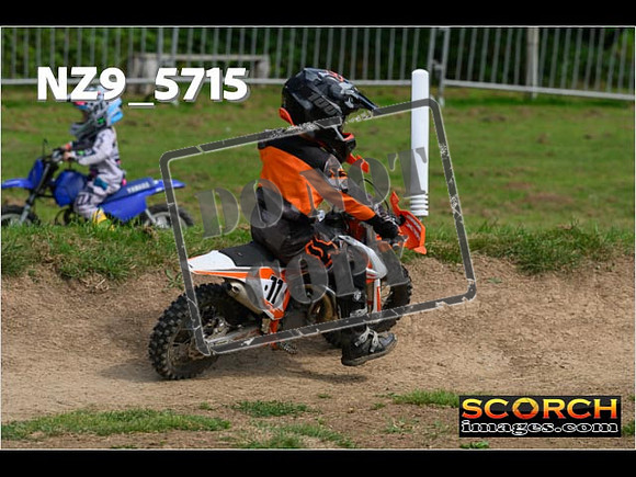 PeeWee Track-095