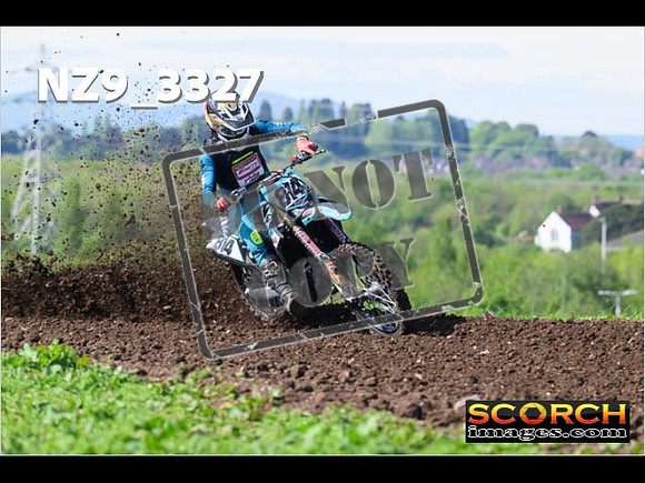 Experts-029