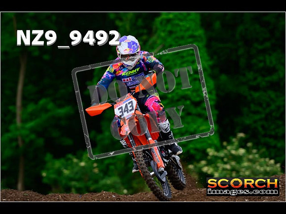 Experts-091